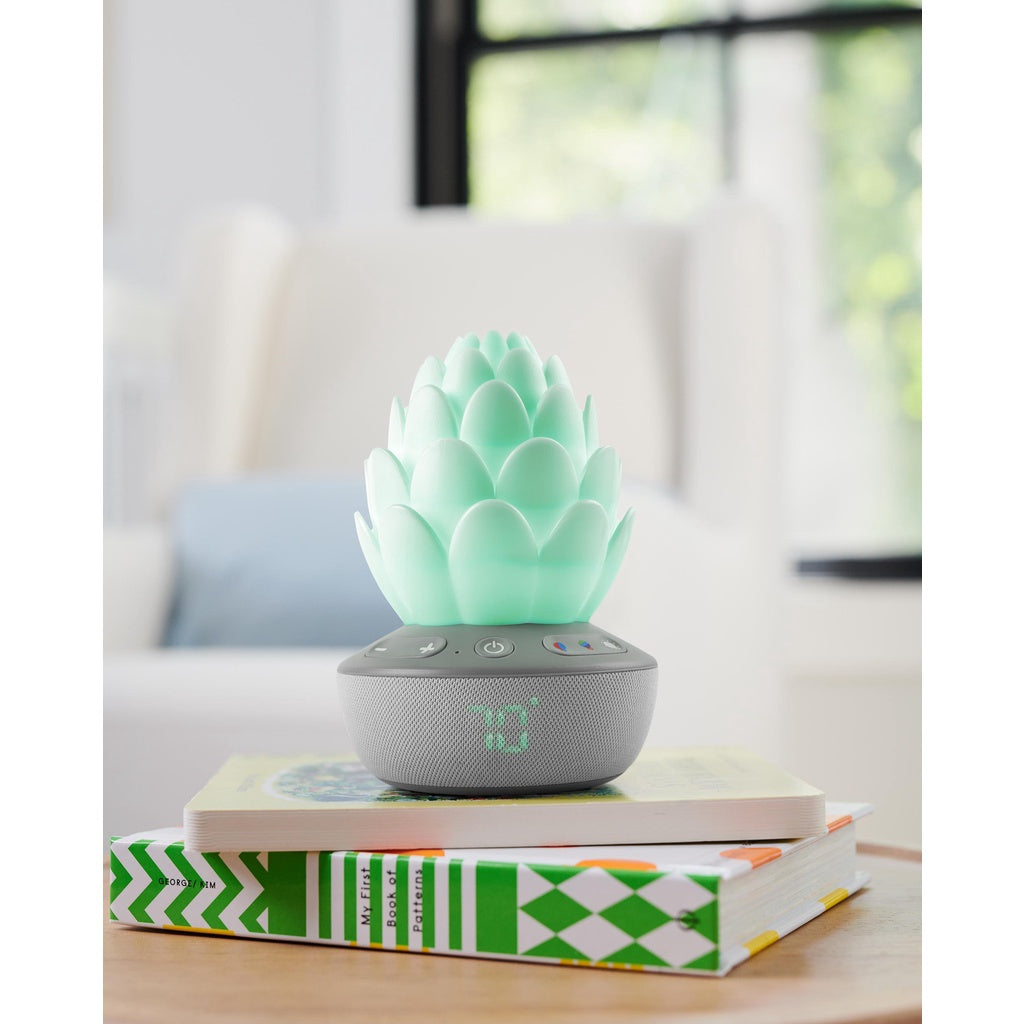 Skip Hop Terra Cry-Activated Soother