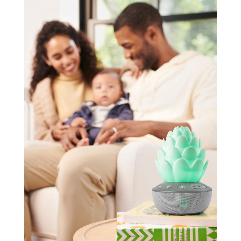Skip Hop Terra Cry-Activated Soother