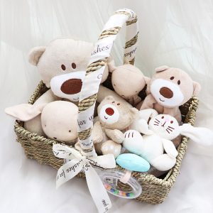 Newborn To Toddler Baby Boys Girls Soft Toy Set Baby 100days Celebration Hamper Basket Gifts High Quality Colour Cotton Functional Toys Pack
